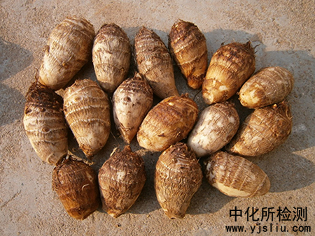 芋頭檢測(cè)